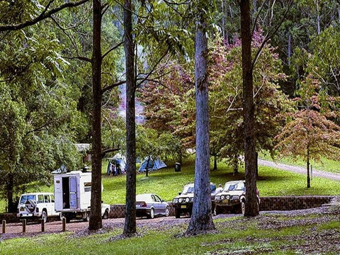 Dingo Tops Campground - Geraldton Accommodation 2