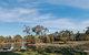 Iluka Retreat - Glamping Village And Group Lodges - thumb 2