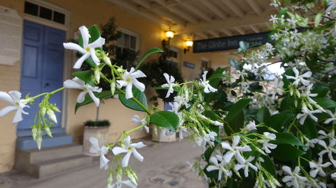 The Globe Inn - Geraldton Accommodation 1