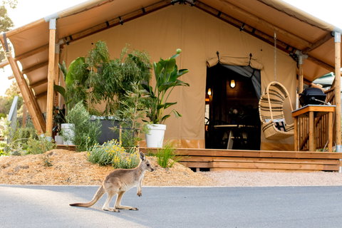 BIG4 Anglesea Holiday Park - Geraldton Accommodation 2