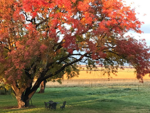 Little Kickabell Country Homestead - Geraldton Accommodation 0