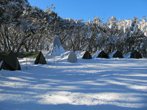 Mt Stirling Alpine Winter Camp - Geraldton Accommodation 0