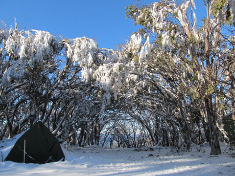 Mt Stirling Alpine Winter Camp - Geraldton Accommodation 2