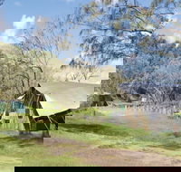 Pebbly Beach campground - Yuraygir National Park - Geraldton Accommodation