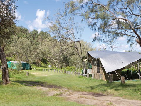 Pebbly Beach Campground - Yuraygir National Park - Geraldton Accommodation 0