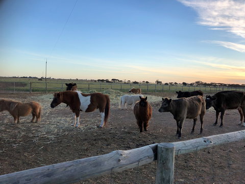 Tarnasey Farm - Pa's Place - Geraldton Accommodation 1