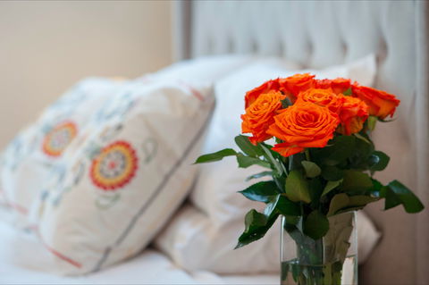 The Nest At Gundaroo - Geraldton Accommodation 1