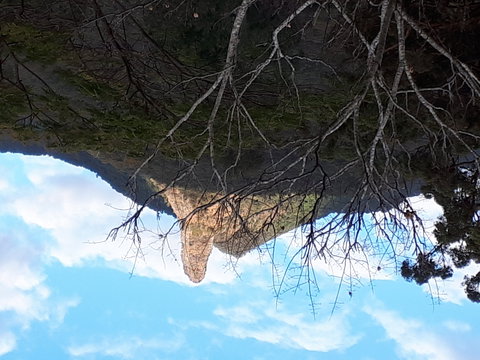 The Barn  House Farm Stay At Possum Manor - Geraldton Accommodation 1