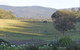 Wallaby Cottage - thumb 0