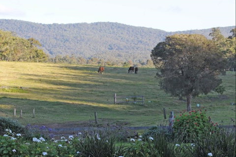 Wallaby Cottage - Geraldton Accommodation 0