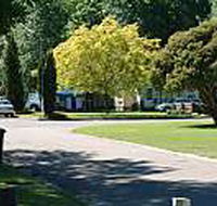 Mitchell Gardens Holiday Park - Geraldton Accommodation