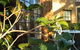 Grandview Manor And Cottage - thumb 2