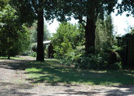 Bloomfield Cottages - Geraldton Accommodation 5