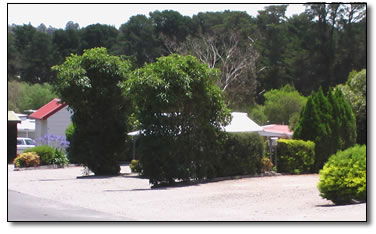 Wantirna Park - Geraldton Accommodation 5