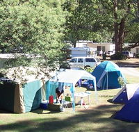 Black Spur Motel and Caravan Park - Geraldton Accommodation