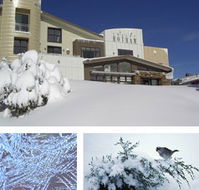 Chalet Hotham - Geraldton Accommodation