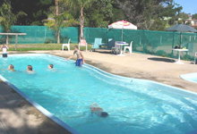 Lakes Entrance Tourist Park - Geraldton Accommodation 4