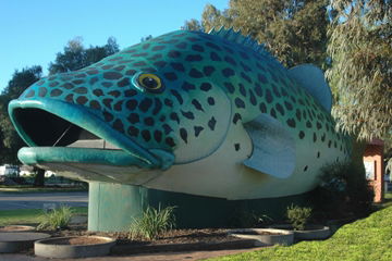 Swan Hill Holiday Park - Geraldton Accommodation 4