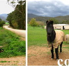Emerald Park Holiday Farm - Geraldton Accommodation