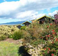 Black Cockatoo Cottages - Geraldton Accommodation
