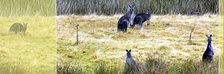 Waterholes Guest House - Geraldton Accommodation 5