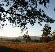 Cann River Rainforest Caravan Park - Geraldton Accommodation