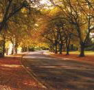 La Trobe at Beechworth - Geraldton Accommodation