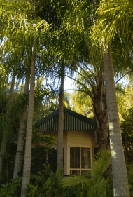 BIG4 Tropical Wanderer Resort - Geraldton Accommodation