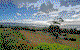 Bichenos Ocean View Retreat - thumb 3