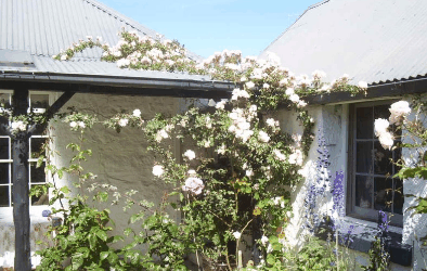 Orford Sanda House B&B - thumb 1