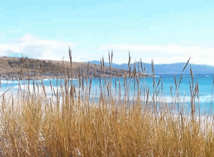 Four Mile Beach TAS Geraldton Accommodation