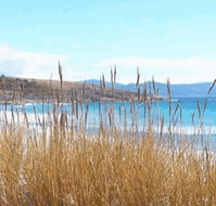 White Sands Estate - Geraldton Accommodation