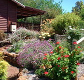Chestnut Brook Cottage - Geraldton Accommodation