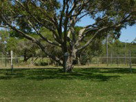 Hawks Nest Holiday Park - Geraldton Accommodation 3