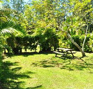 Wooli Caravan Park - Geraldton Accommodation