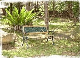 Lorikeet Cottage - Geraldton Accommodation 3