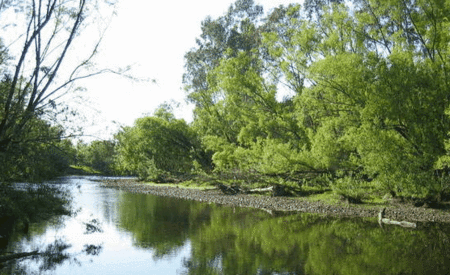 Ribbonwood Cottages - Geraldton Accommodation