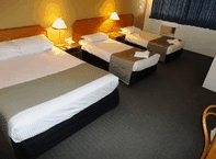 Metro Inn Ryde - thumb 1