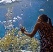 The Aquarium Of Western Australia - Geraldton Accommodation 0