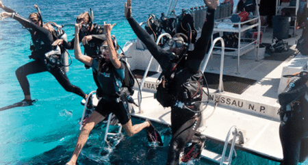 Snorkel Safari Brisbane - Geraldton Accommodation