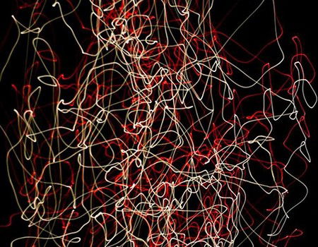 Eleven40 Gallery - Geraldton Accommodation 1