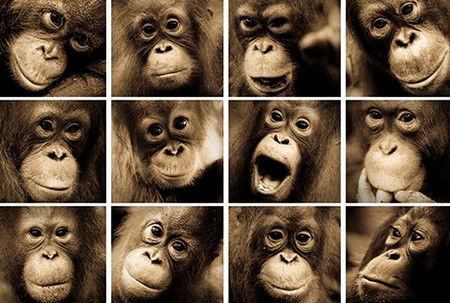 Eleven40 Gallery - Geraldton Accommodation 3