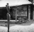 The Baldessin Press - Geraldton Accommodation