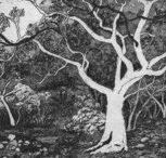 Tacit Contemporary Art - Geraldton Accommodation