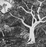 Tacit Contemporary Art - Geraldton Accommodation 0