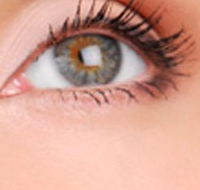 Cinnamon Stix Hair  Day Spa - Geraldton Accommodation