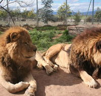 Mansfield Zoo - Geraldton Accommodation