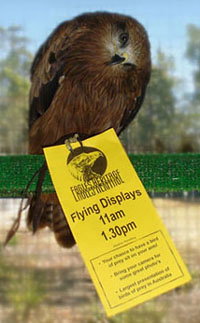 Eagles Heritage - Geraldton Accommodation 1