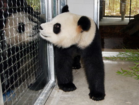 Adelaide Zoo - Geraldton Accommodation 3