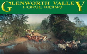 Glenworth Valley Horseriding - Geraldton Accommodation 0
